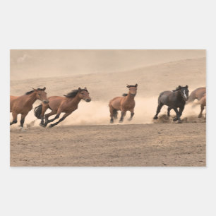 Pegatina Rectangular Caballo en otoño II
