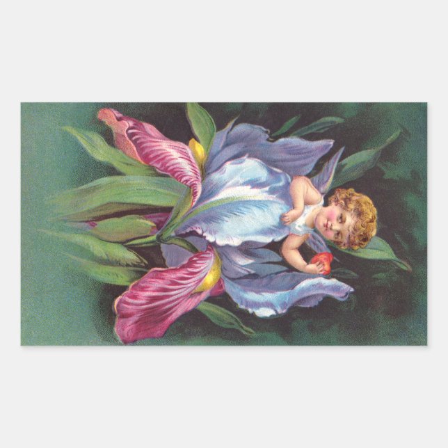Pegatina Rectangular Caballo: Flor Cherub Iris (Anverso)