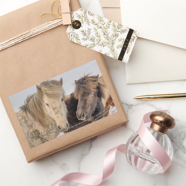 Pegatina Rectangular Caballo islandés adorable (Regalar)
