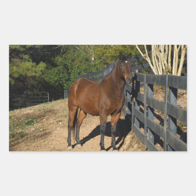 Pegatina Rectangular Caballo marrón contra una valla (Anverso)