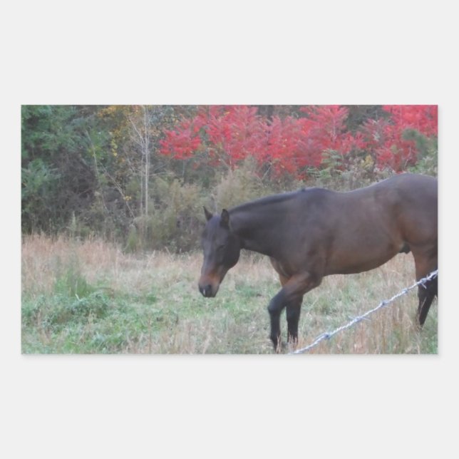Pegatina Rectangular Caballo marrón en los árboles de otoño rojos (Anverso)