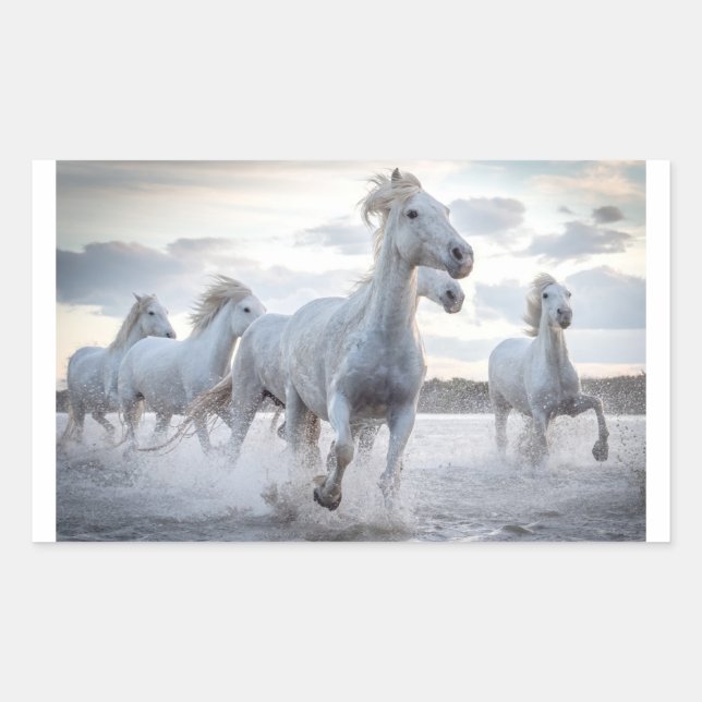 Pegatina Rectangular Caballos blancos (Anverso)