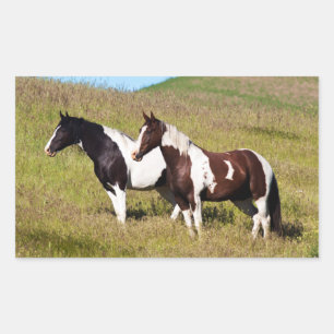 Pegatina Rectangular Caballos en la ladera