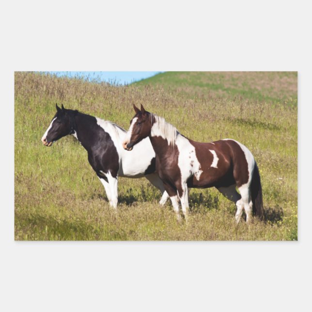 Pegatina Rectangular Caballos en la ladera (Anverso)