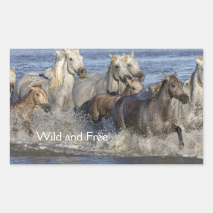 Pegatina Rectangular Caballos galopando en el agua