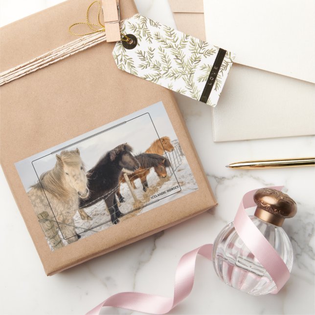 Pegatina Rectangular Caballos islandeses (Regalar)