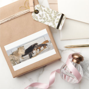 Pegatina Rectangular Caballos islandeses