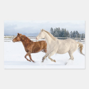 PEGATINA RECTANGULAR CABALLOS JUNTOS