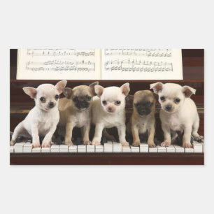 Pegatina Rectangular Cachorro de Chihuahua en el piano (Chewawa, Chiwaw