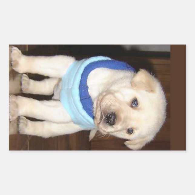 Pegatina Rectangular Cachorro de Labrador Amarillo con Pañuelo Azul (Anverso)