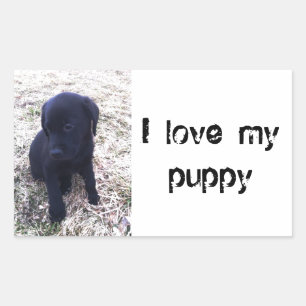 Pegatina Rectangular Cachorro de Labrador Negro