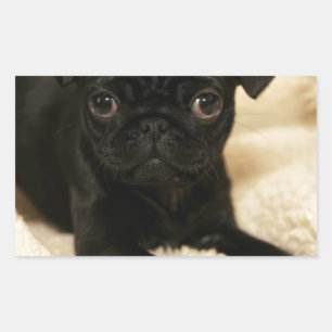 Pegatina Rectangular Cachorro negro