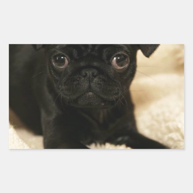 Pegatina Rectangular Cachorro negro (Anverso)