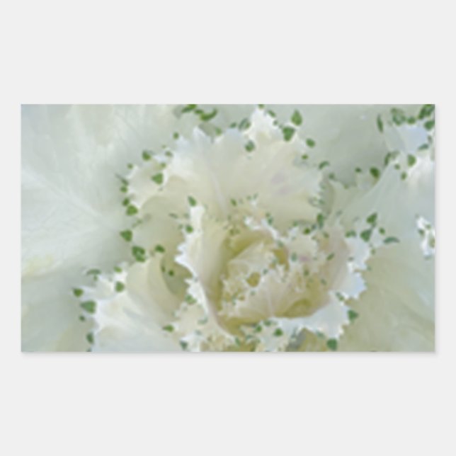 Pegatina Rectangular Cactus (Anverso)