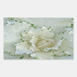 Pegatina Rectangular Cactus