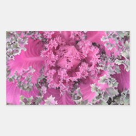 Pegatina Rectangular Cactus