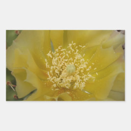 Pegatina Rectangular Cactus Amarillo en Flor