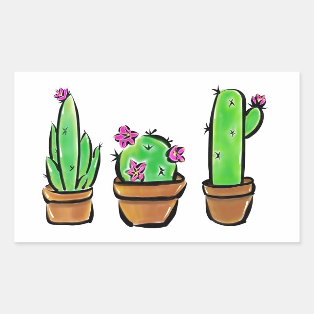 Pegatina Rectangular Cactus cactus succulantes (Anverso)