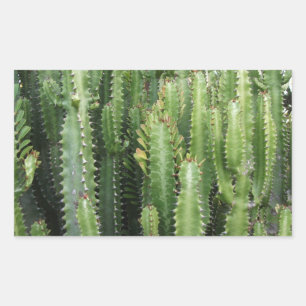 Pegatina Rectangular Cactus Garden