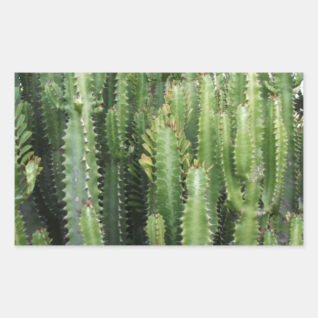 Pegatina Rectangular Cactus Garden (Anverso)
