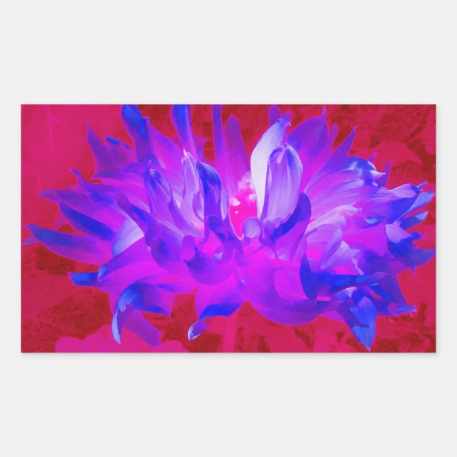 Pegatina Rectangular Cactus Violeta Azul y Rosa Caliente Dahlia (Anverso)