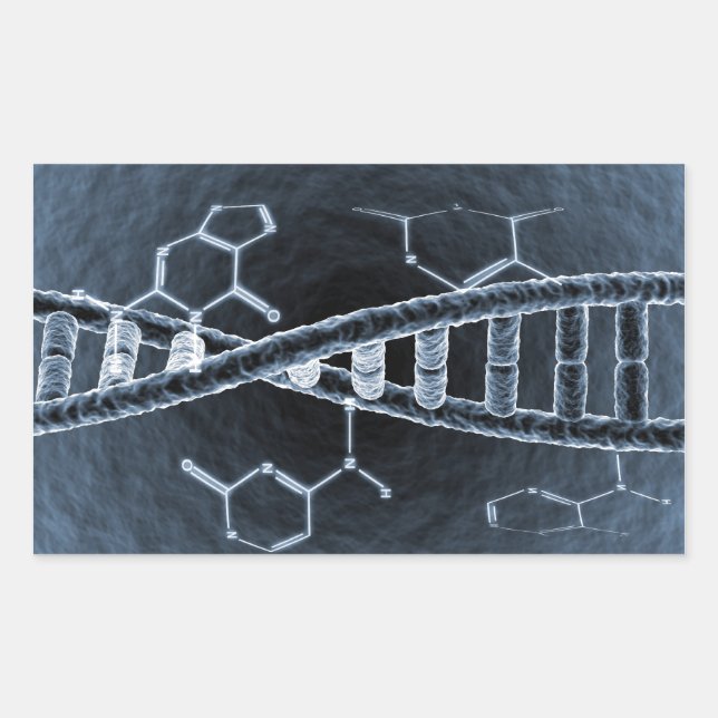Pegatina Rectangular cadena de ADN (Anverso)
