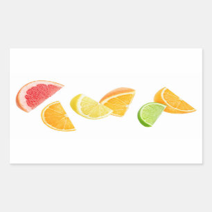 Pegatina Rectangular Caída de rodajas de cítricos