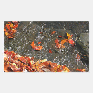 Pegatina Rectangular Caídas en cataratas en fotografía de otoño