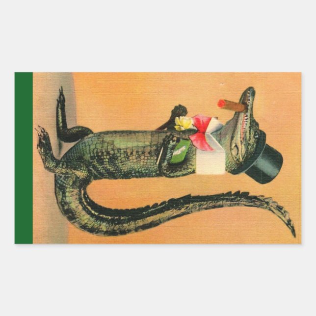 Pegatina Rectangular Caimán con Sombrero de Copa (Anverso)