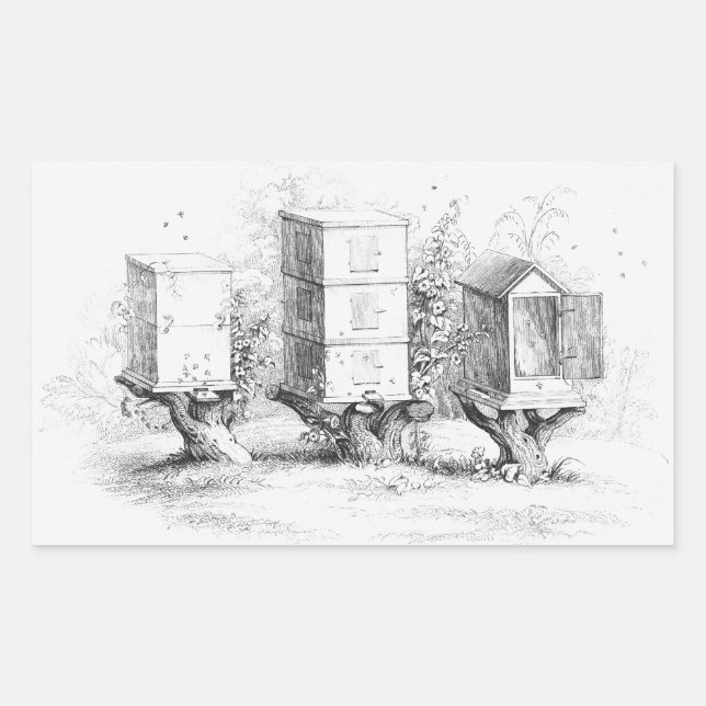 Pegatina Rectangular Cajas de abejas ventilares Miel (Anverso)