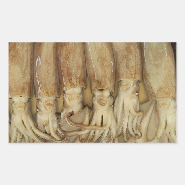 Pegatina Rectangular Calamari (Anverso)