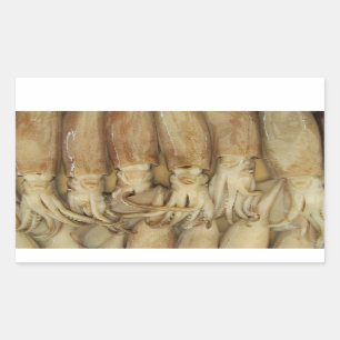 Pegatina Rectangular Calamari