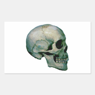 Pegatina Rectangular Calavera del perfil