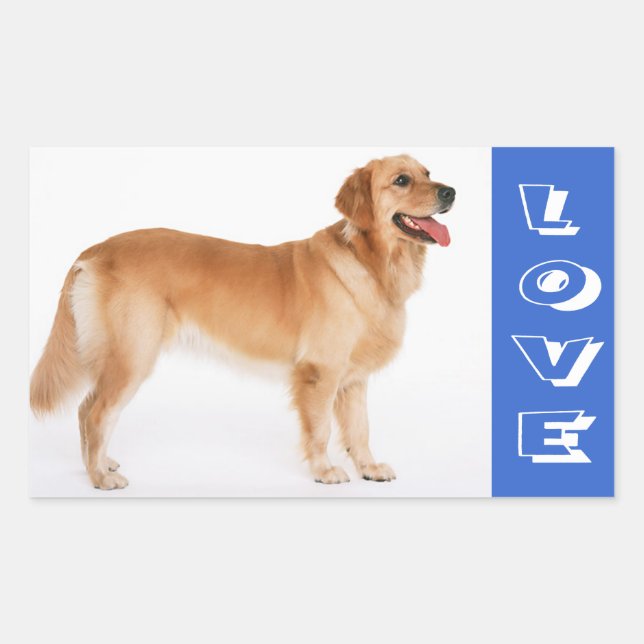 Pegatina Rectangular Calcomanías de cachorro de perro retriever dorado  (Anverso)