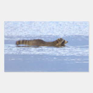 Pegatina Rectangular Calcomanías de mapache nadando en el océano