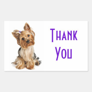 Pegatina Rectangular Calcomanías de perro cachorro Yorkshire Terrier Ag