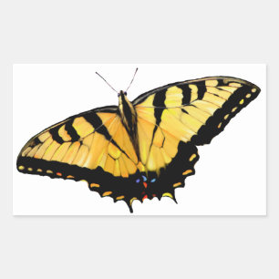 Pegatina Rectangular Calcomanías Tiger Swallowtail