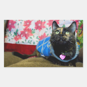 Pegatina Rectangular Calico II