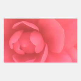 Pegatina Rectangular Camellia rosa