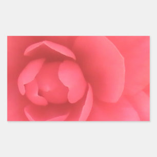 Pegatina Rectangular Camellia rosa