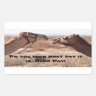 Pegatina Rectangular Camellos del Día del Hump