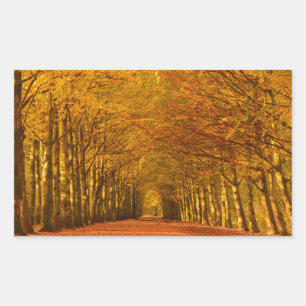 Pegatina Rectangular Camino a través del bosque en pegamento rectangula