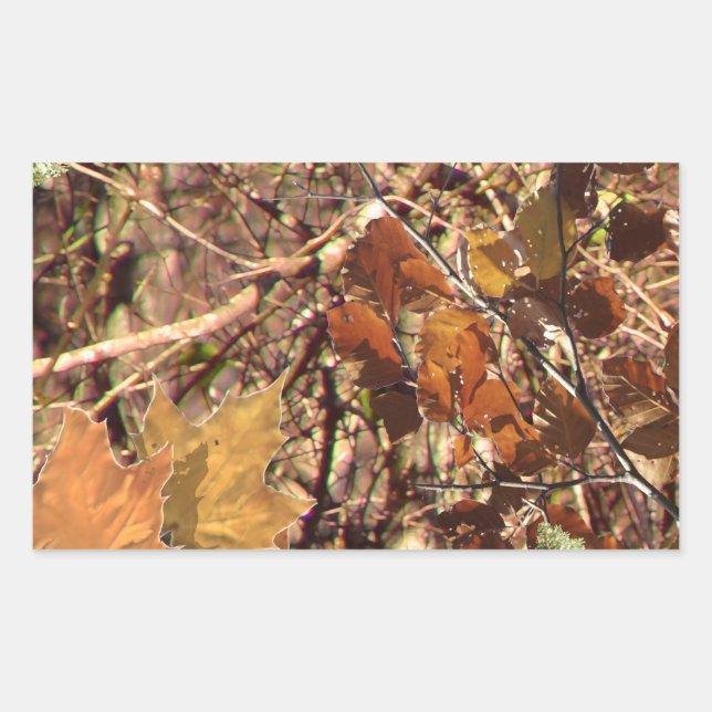 Pegatina Rectangular Camuflaje de Bush del bosque otoño (Anverso)