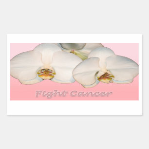 Pegatina Rectangular Cáncer de la lucha