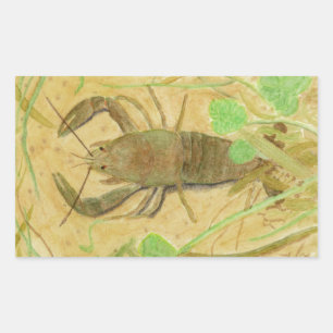 Pegatina Rectangular Cangrejo