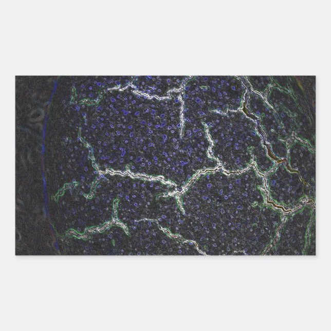 Pegatina Rectangular caparazón (Anverso)