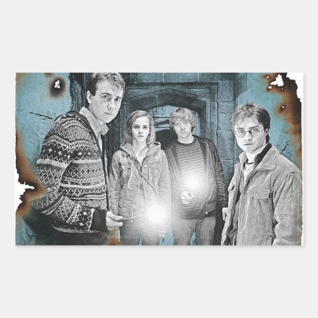 Pegatina Rectangular Captura de grupo 1 (Anverso)