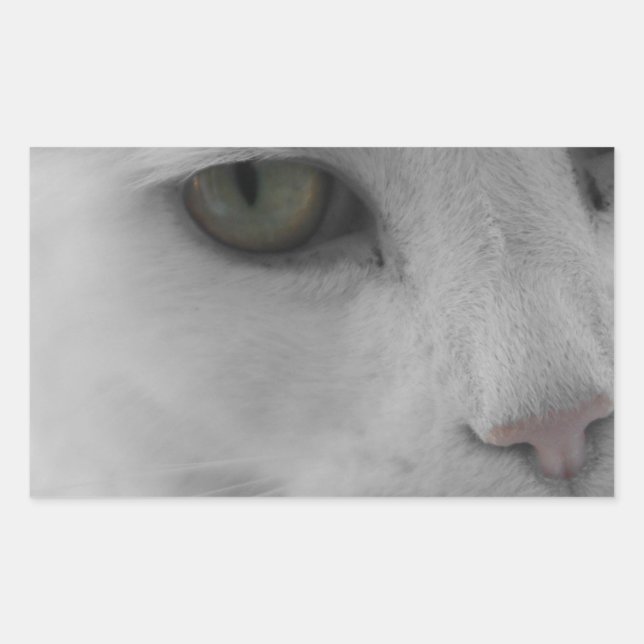 Pegatina Rectangular Cara de gatos negros y blancos (Anverso)