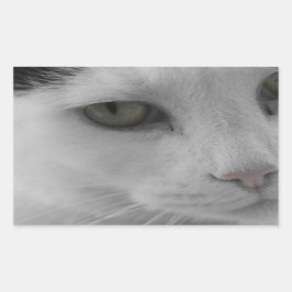 Pegatina Rectangular Cara de gatos negros y blancos