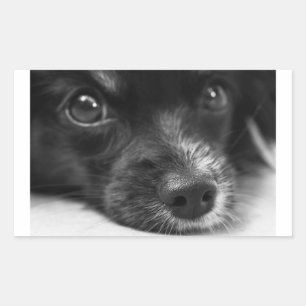 Pegatina Rectangular cara de papillon